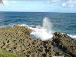 Picture 1