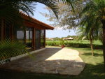 Picture 1