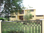 Picture 1
